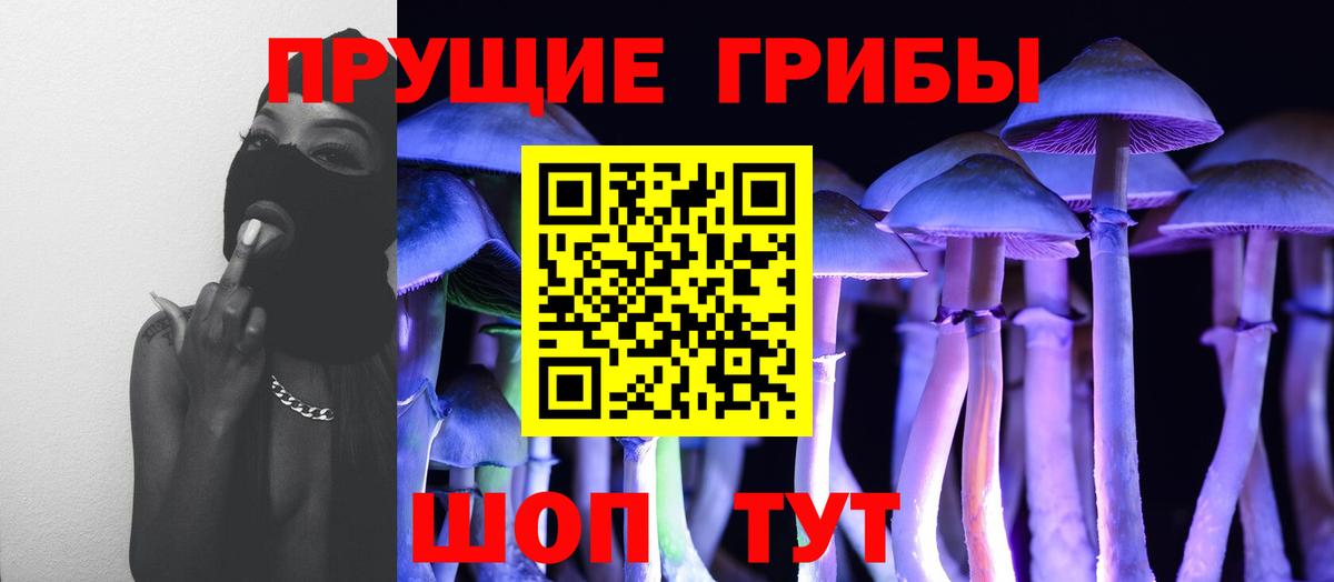 Галлюциногенные грибы Magic Shrooms  Вход с VPN  Галлюциногенные грибы ЛСД  Дзержинск 